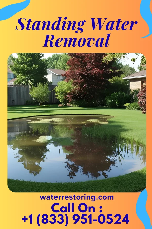 Standing Water Removal in Hillcrest Heights, FL